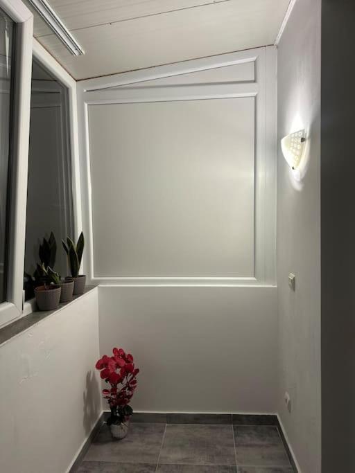 Apartament La Flo Vajdahunyad Kültér fotó
